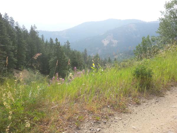 Photo by Darla HusseyThe stunning views from the Lookout Mountain trailhead are now easier, and safer, to access.